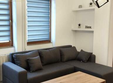 Dvosoban stan, Novi Sad, izdavanje, 45m2, 550e, id1466653