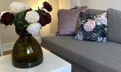 Garsonjera, Novi Sad, izdavanje, 25m2, 360e, id1466661