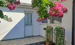 Kuca, Novi Sad, Petrovaradin, izdavanje, 80m2, 650e, id1466663