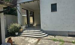 Kuca, Novi Sad, izdavanje, 500m2, 1200e, id1466666