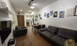 Dvosoban stan, Beograd, Gradska bolnica, izdavanje, 43m2, 700e, id1466674