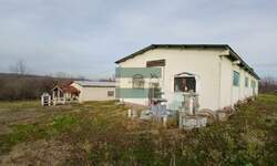 Poslovni prostor / Lokal, Despotovac, Veliki Popović, prodaja, 723m2, 220000e, id1466759