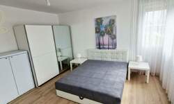 Dvosoban stan, Novi Sad, izdavanje, 60m2, 550e, id1466755