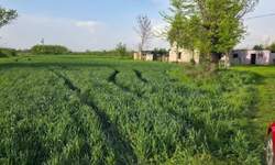 Plac, Kovačica - Debeljaca | Prodaja · 3150m² · 23.000€