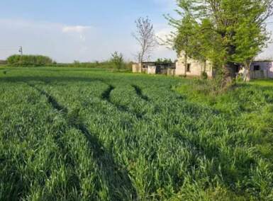 Plac, Kovačica, Debeljaca, prodaja, 3150m2, 23000e, id1466870