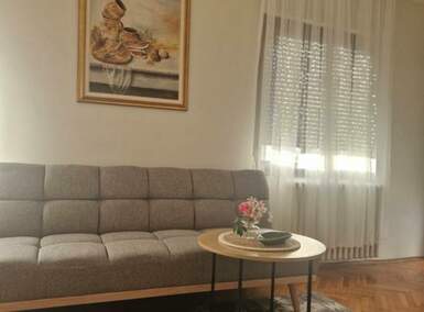 Dvosoban stan, Novi Sad, izdavanje, 45m2, 350e, id1467114