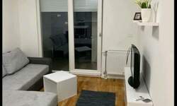 Garsonjera, Novi Sad, izdavanje, 30m2, 350e, id1467115