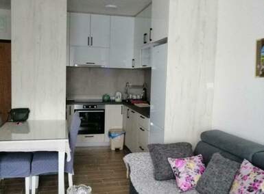 Dvosoban stan, Novi Sad, izdavanje, 45m2, 500e, id1467219