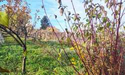 Plac, Beograd, Resnik, prodaja, 400m2, 25000e, id1467264