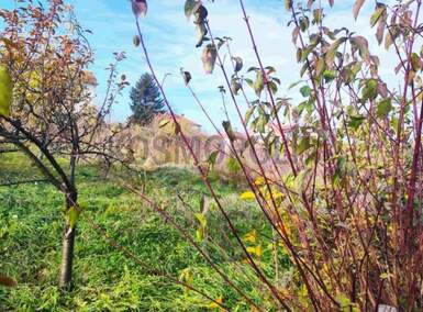 Plac, Beograd, Resnik, prodaja, 400m2, 25000e, id1467264