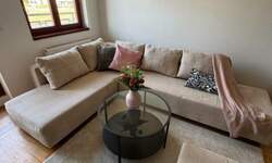 Jednoiposoban stan, Novi Sad, izdavanje, 45m2, 500e, id1467279