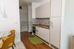 Garsonjera, Niš, Bulevar Nemanjića, izdavanje, 30m2, 375e, id1467421