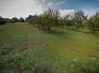 Plac, Beograd, Ključ, prodaja, 5600m2, 168000e, id1467517