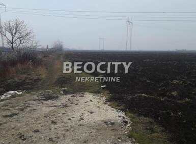 Plac, Pećinci, Šimanovci, prodaja, 14000m2, 280000e, id1467524