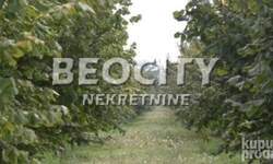 Plac, Srbobran, Centar, prodaja, 63000m2, 290000e, id1467611