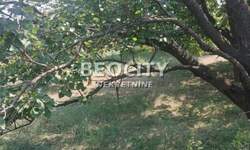 Plac, Beočin, Dumbovo, prodaja, 1300m2, 42000e, id1468180