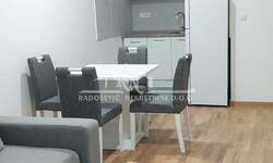 Jednoiposoban stan, Beograd, Vidikovac, izdavanje, 41m2, 500e, id1468480