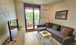 Jednosoban stan, Novi Sad, Socijalno, izdavanje, 26m2, 330e, id1469759