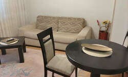 Jednoiposoban stan, Novi Sad, Nova Detelinara, izdavanje, 29m2, 350e, id1469791