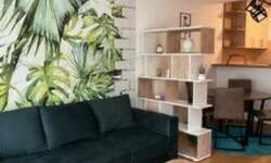 Jednoiposoban stan, Beograd, Zemunske kapije, izdavanje, 45m2, 650e, id1469792