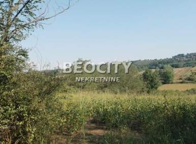 Plac, Beograd, Vranić, prodaja, 13000m2, 52000e, id1471186