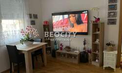 Dvosoban stan, Novi Sad, Salajka, izdavanje, 34m2, 400e, id1471503