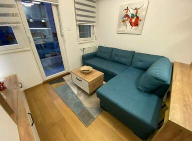 Jednoiposoban stan, Novi Sad, izdavanje, 30m2, 400e, id1471920