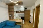 Jednoiposoban stan, Novi Sad, izdavanje, 30m2, 400e, id1471920