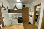 Jednoiposoban stan, Novi Sad, izdavanje, 30m2, 400e, id1471920