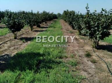 Plac, Pančevo, prodaja, 38500m2, 220000e, id1472009