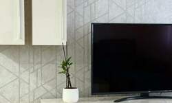 Dvosoban stan, Novi Sad, izdavanje, 50m2, 600e, id1474412