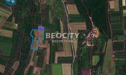 Plac, Sremska Mitrovica, Divoš, prodaja, 25300m2, 140000e, id1474852