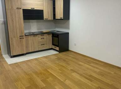 Garsonjera, Novi Sad, izdavanje, 31m2, 350e, id1475640