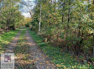 Plac, Beograd, Baljevac, prodaja, 0m2, 23000e, id1475714