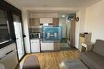Garsonjera, Jagodina, izdavanje, 28m2, 230e, id1475716