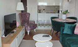 Jednosoban stan, Kragujevac, Bubanj, izdavanje, 46m2, 450e, id1475806