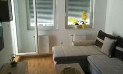 Jednoiposoban stan, Novi Sad, izdavanje, 35m2, 400e, id1475976