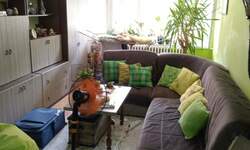 Jednosoban stan, Niš, Palilula, izdavanje, 43m2, 250e, id1476035