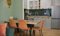 Jednoiposoban stan, Novi Sad, izdavanje, 50m2, 550e, id1476073