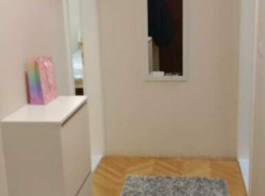 Dvosoban stan, Novi Sad, izdavanje, 53m2, 450e, id1476148