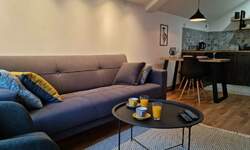 Jednoiposoban stan, Novi Sad, izdavanje, 38m2, 500e, id1476161