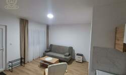 Jednosoban stan, Novi Sad, izdavanje, 22m2, 300e, id1476252