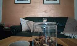 Trosoban stan, Novi Sad, izdavanje, 80m2, 700e, id1476254