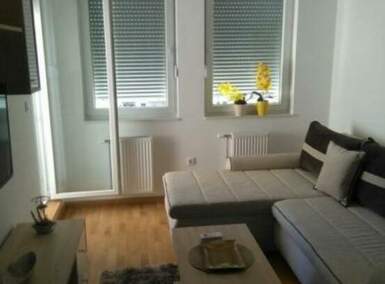 Jednoiposoban stan, Novi Sad, izdavanje, 35m2, 400e, id1476294