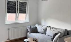 Jednoiposoban stan, Novi Sad, izdavanje, 38m2, 500e, id1476389