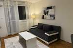 Jednosoban stan, Novi Sad, izdavanje, 46m2, 400e, id1476393