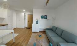 Garsonjera, Novi Sad, izdavanje, 30m2, 400e, id1476406