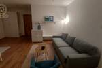 Garsonjera, Novi Sad, izdavanje, 30m2, 400e, id1476406