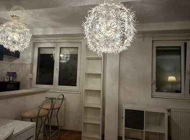 Garsonjera, Novi Sad, izdavanje, 25m2, 350e, id1476407