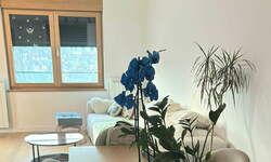 Trosoban stan, Beograd, zelena avenija, prodaja, 71m2, 320000e, id1476657